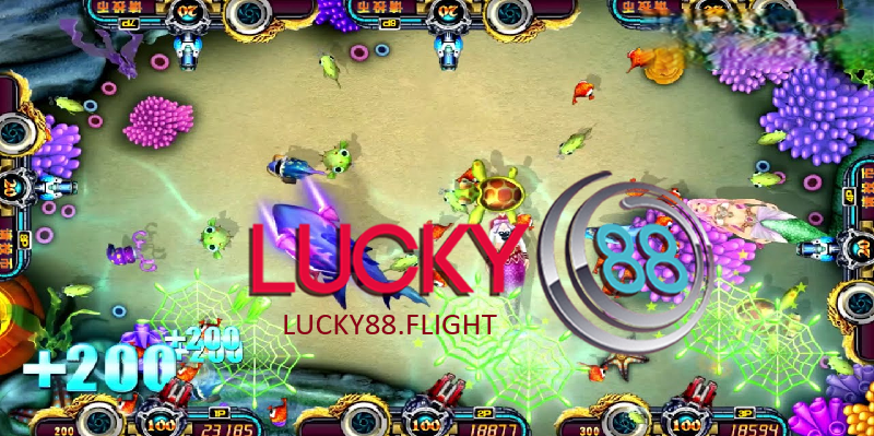 Câu hỏi thường gặp