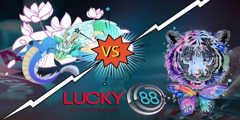 Câu hỏi thường gặp khi tham gia rồng hổ lucky88