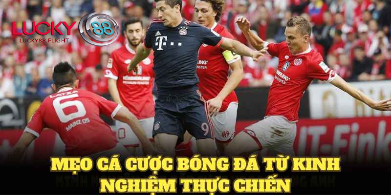 Mẹo khi tham gia cược trực tiếp lucky88