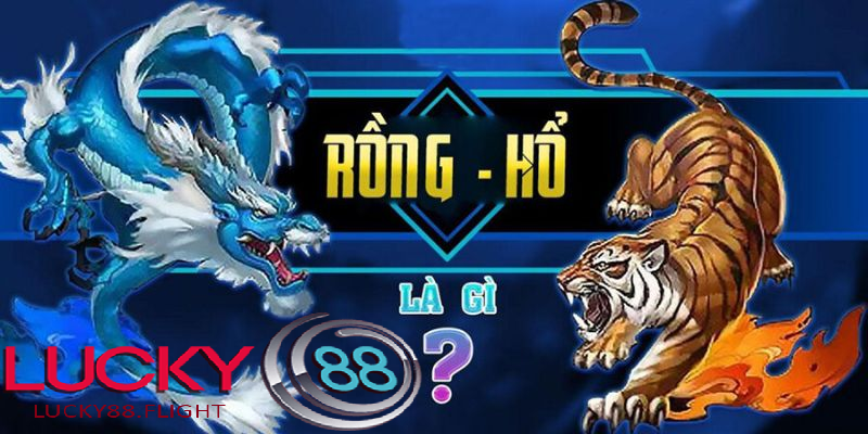Tổng quan rồng hổ lucky88